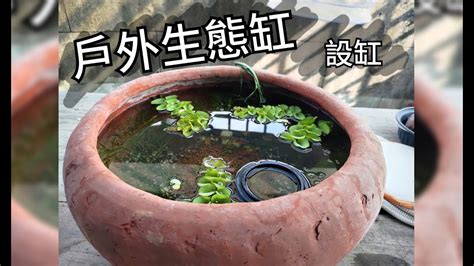 戶外水缸風水